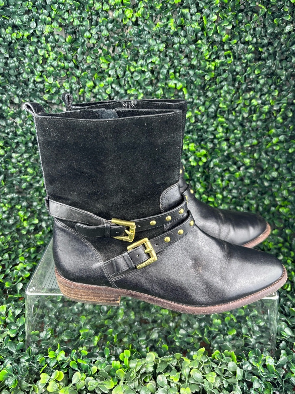 COACH LILIANA LEATHER AND SUEDE WITH GOLD STUD Ankle Boots in Black SIZE 7 Woman - Picture 2 of 10